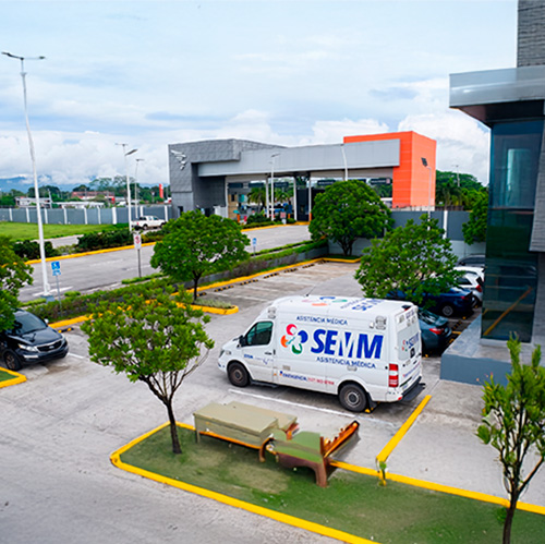 SEMM