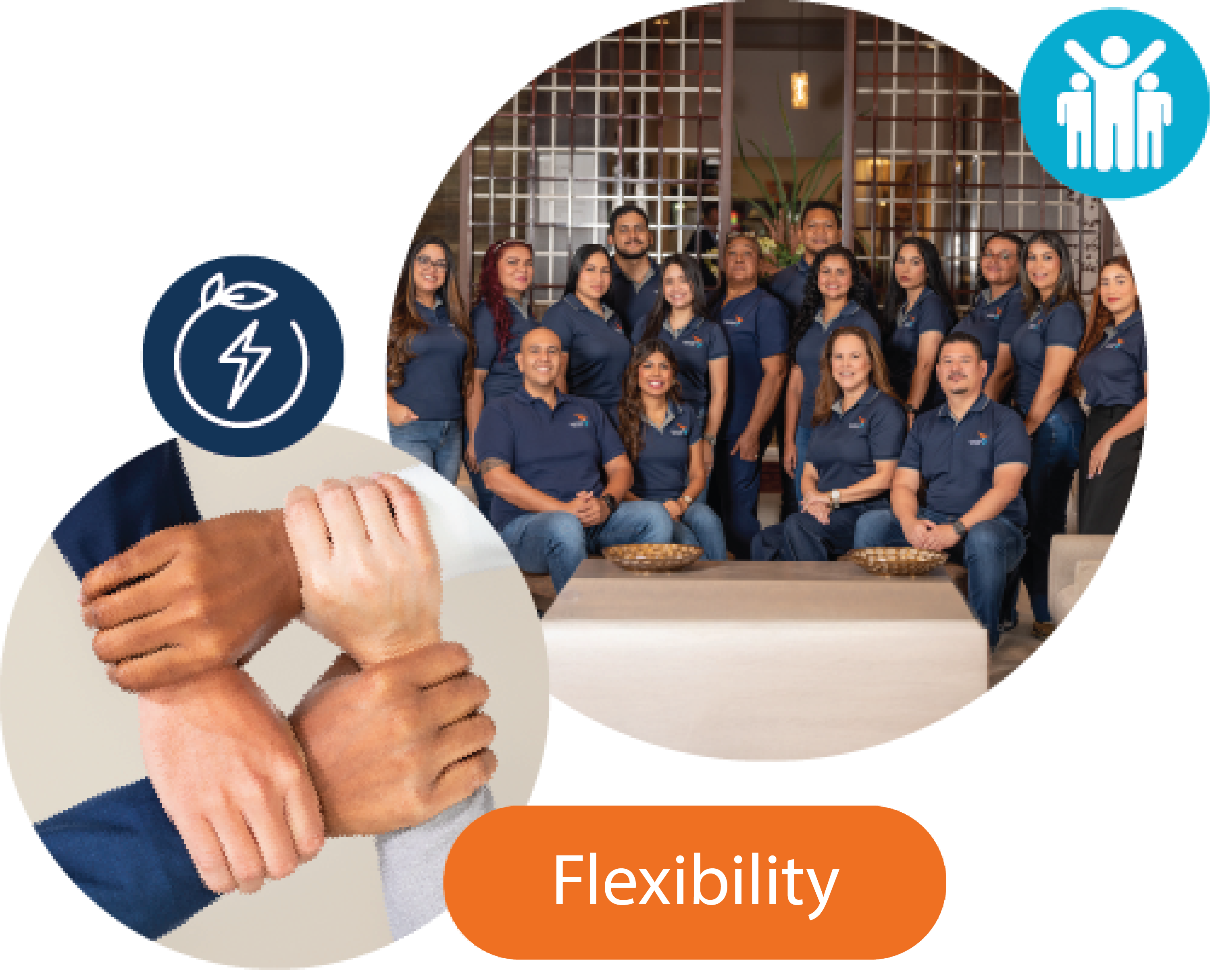 Flexibility